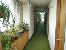 九十九里ペンション　COCOの客室の写真