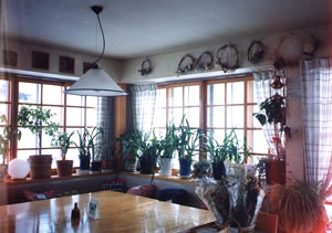 プチペンション　フェステの客室の写真