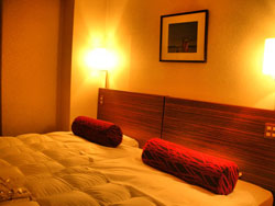 ホテルプラザ駒込の客室の写真
