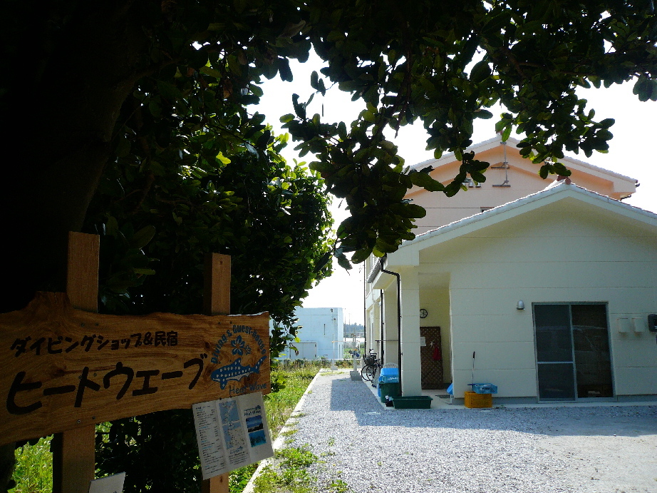 沖縄県でダイビングができて夕飯のおいしい宿を教えてください