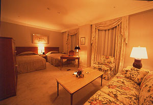 ＴＨＥ ＳＡＩＨＯＫＵＫＡＮ ＨＯＴＥＬ（長野ホテル犀北館）の部屋画像