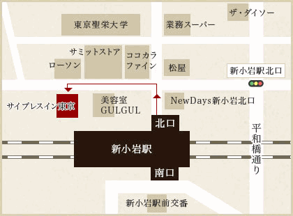 サイプレスイン東京への概略アクセスマップ
