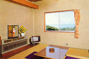 民宿お食事処　田原屋（愛知県）の客室の写真