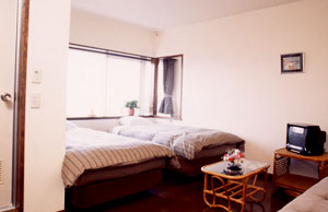 緑あふれる伊豆の宿“伊豆高原キャプテンズキャビン”の客室の写真