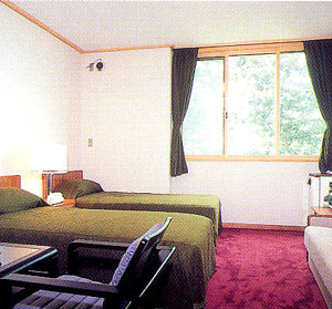 ホテル信濃プリンス　シラカバの客室の写真