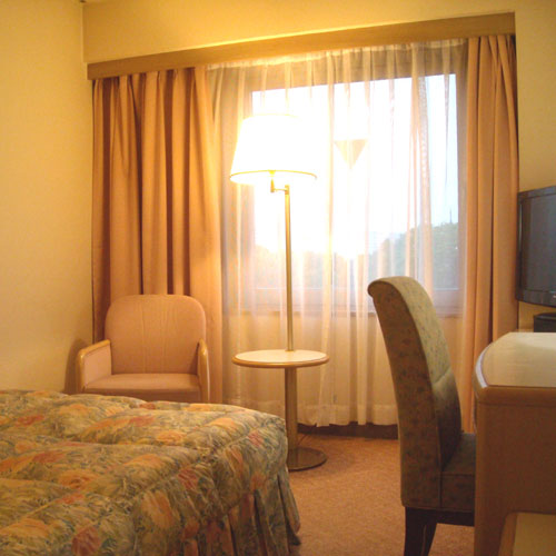 東京第一ホテル松山の客室の写真