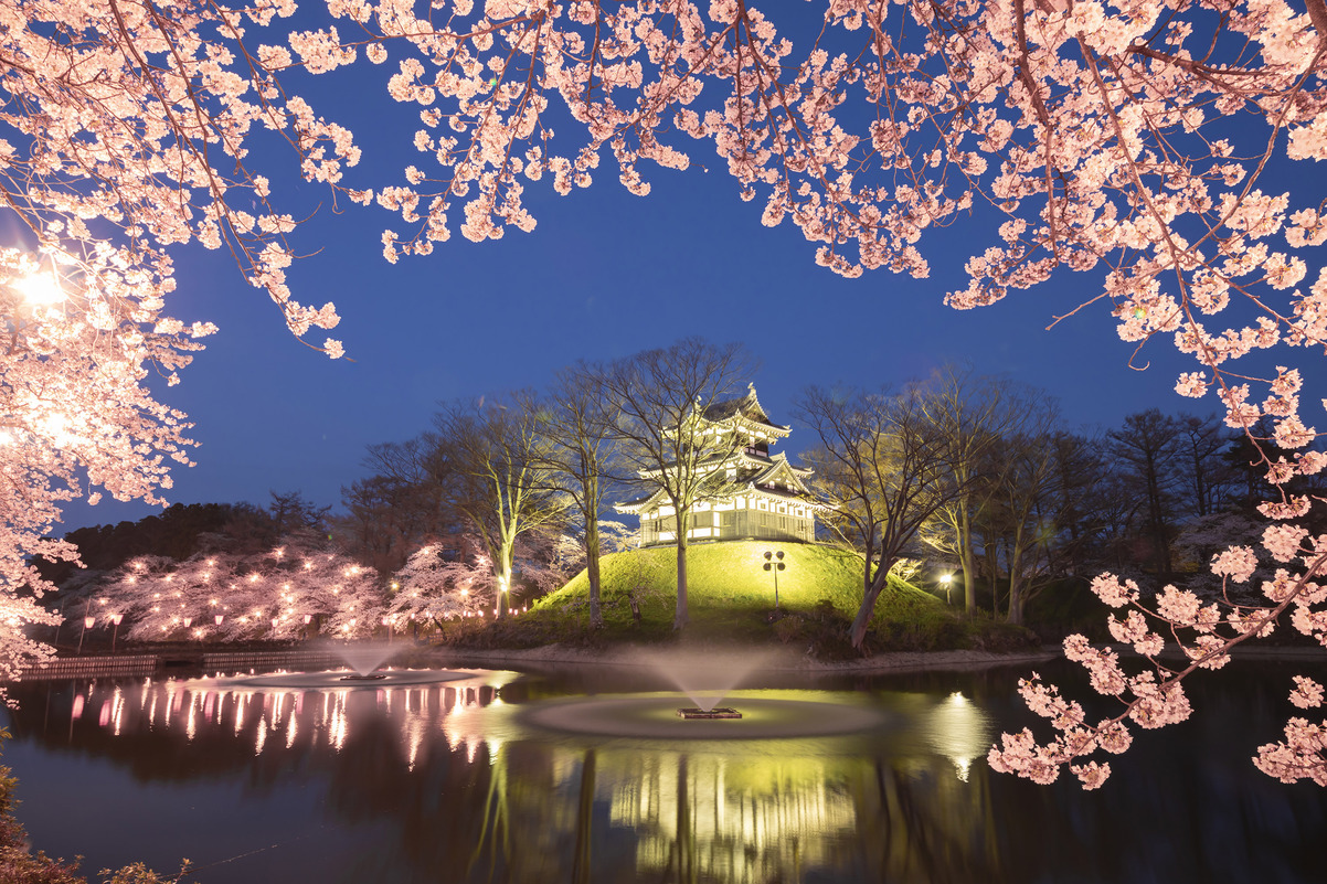 観桜会高田城址公園（夜2）