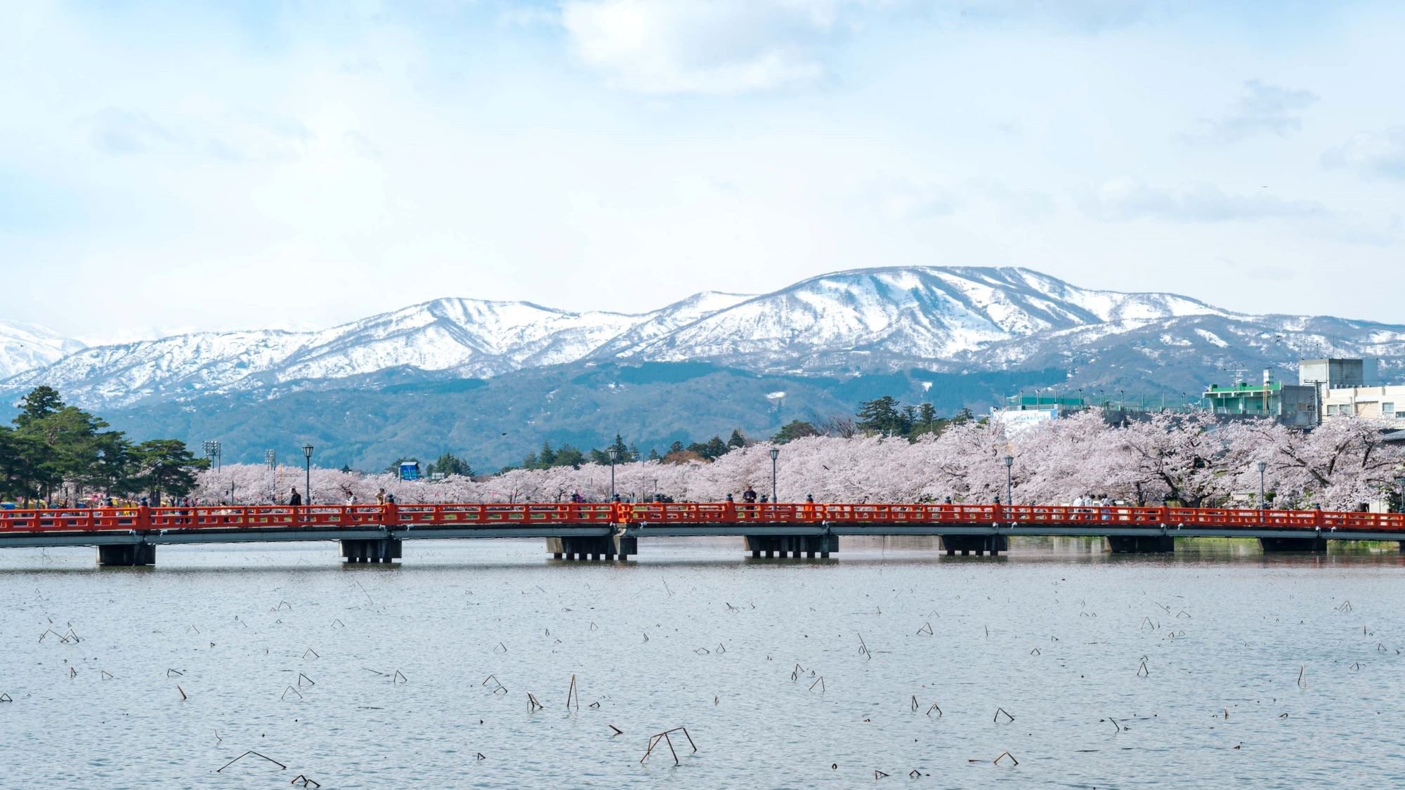 高田城址公園西堀橋