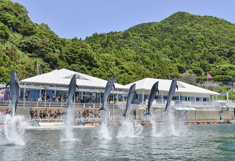 周辺情報大分マリーンパレス水族館『うみたまご』