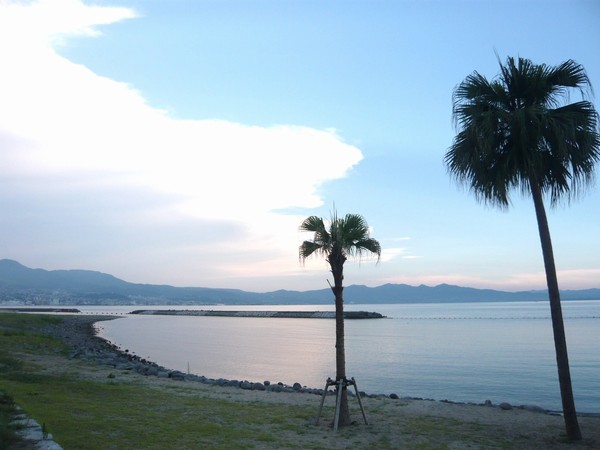 周辺情報田ノ浦ビーチはホテルから車で約20分！別府湾をのぞむおすすめスポット♪夏は海水浴も！