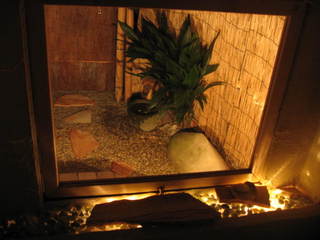 �y���s�{:�_���E���R�E�k������Ӂz�a�� ���t��