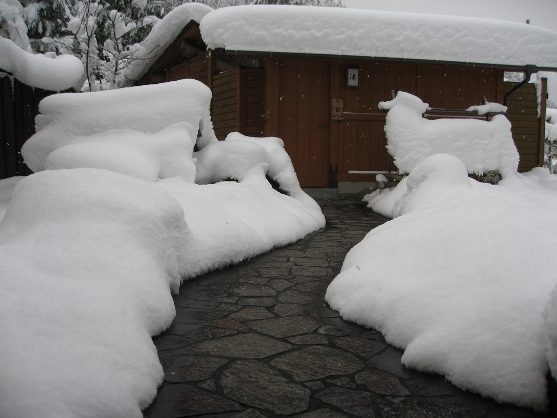 貸切雪