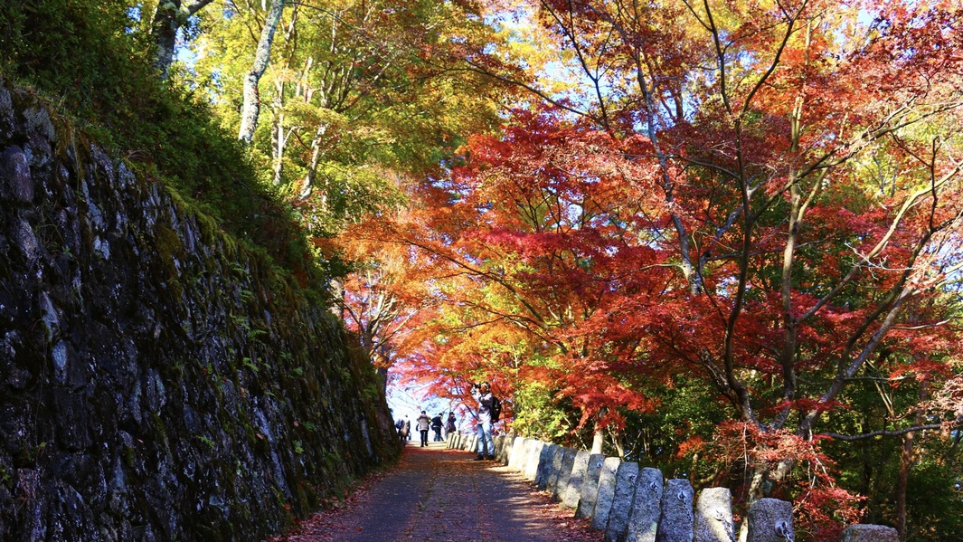 ＜秋＞吉野山の紅葉風景（上千本：高城山展望台）