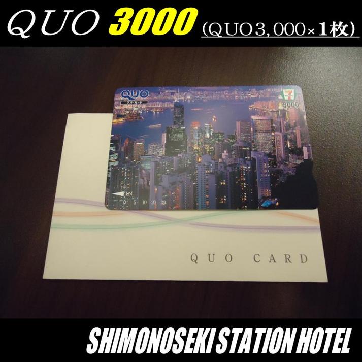 QUO３０００付プラン