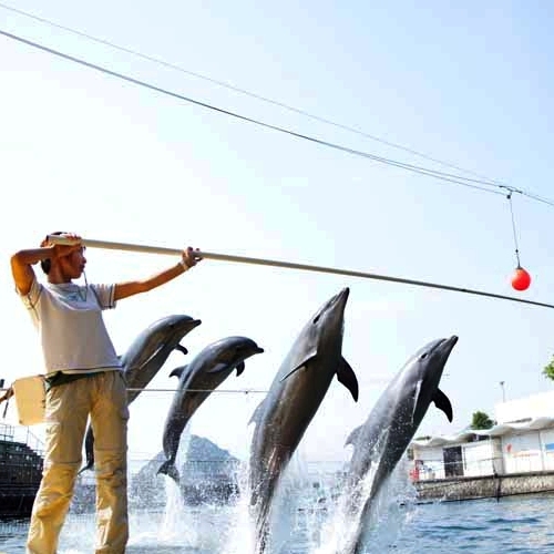 ニューウェルシティ湯河原