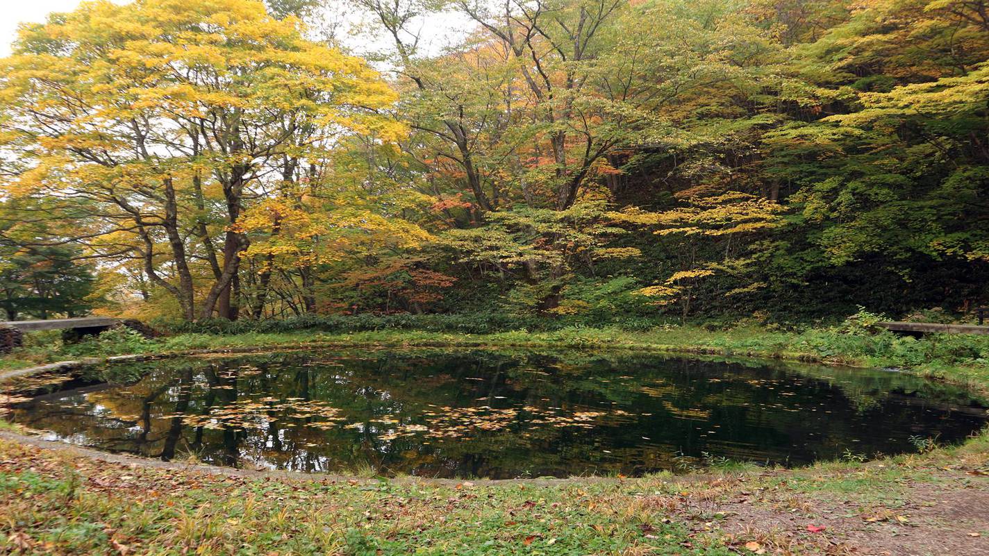 *【周辺/たまだれ（玉簾）の滝】源泉は、嬬恋村の水道にもなっている清浄な水です。