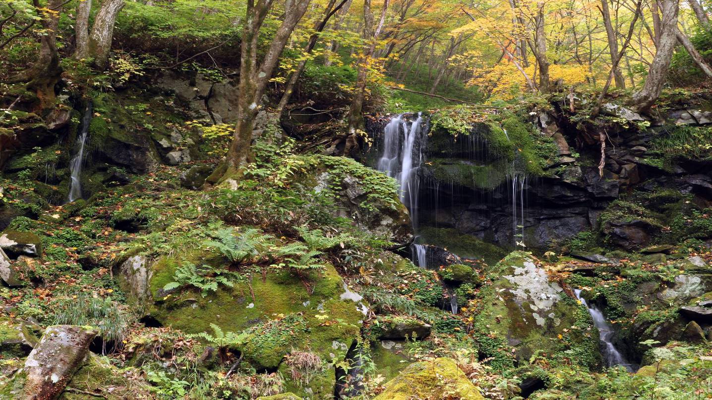 *【周辺/たまだれ（玉簾）の滝】源泉は、嬬恋村の水道にもなっている清浄な水です。