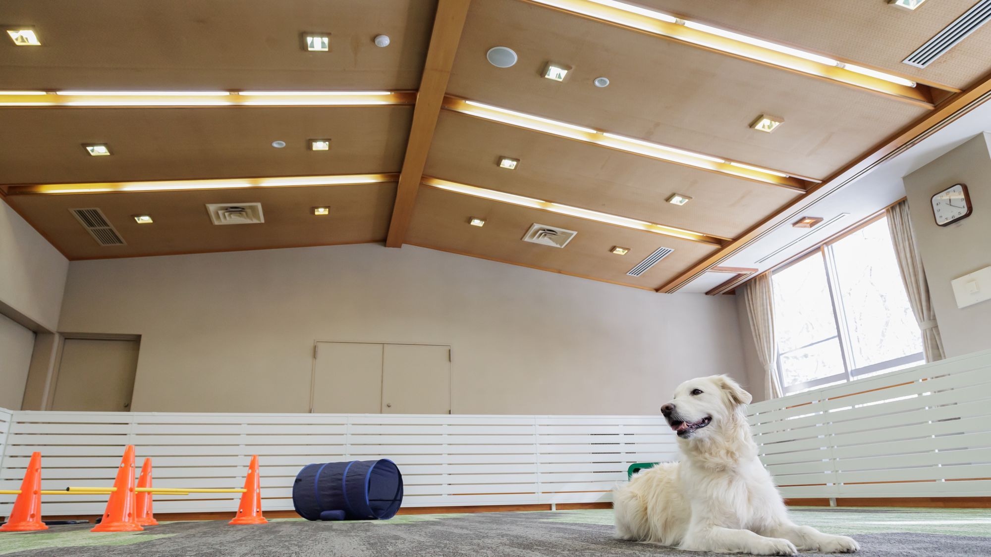 【屋内】ドッグラン