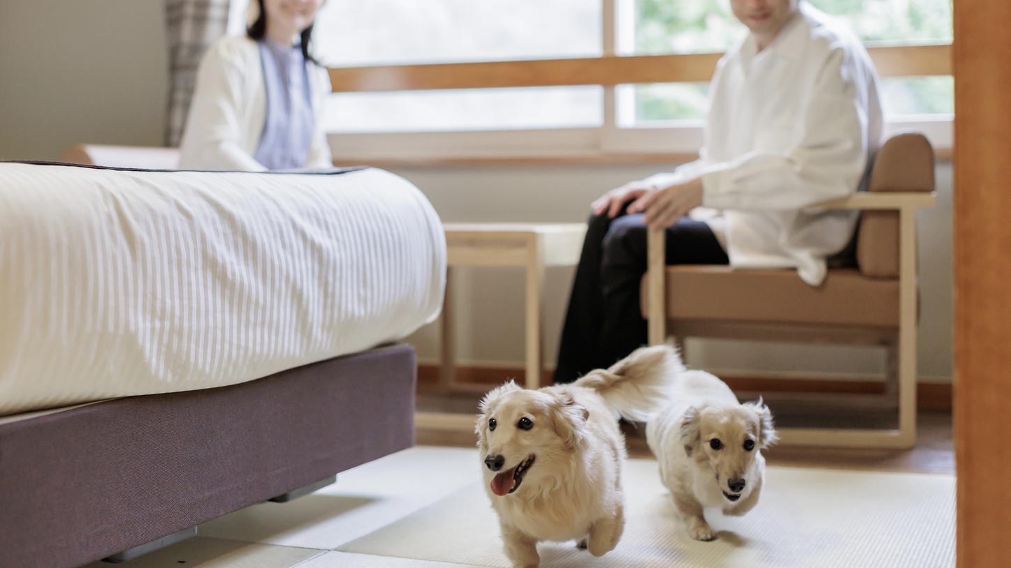 全室ワンちゃんと宿泊可能です