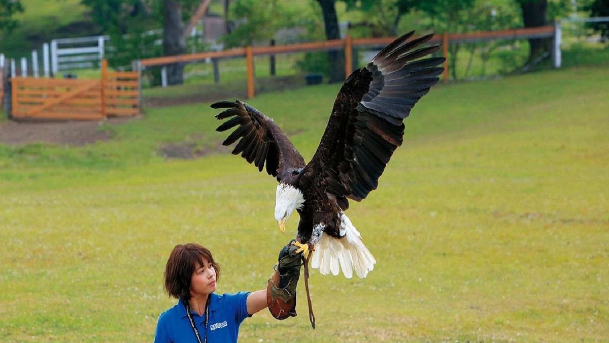 那須どうぶつ王国