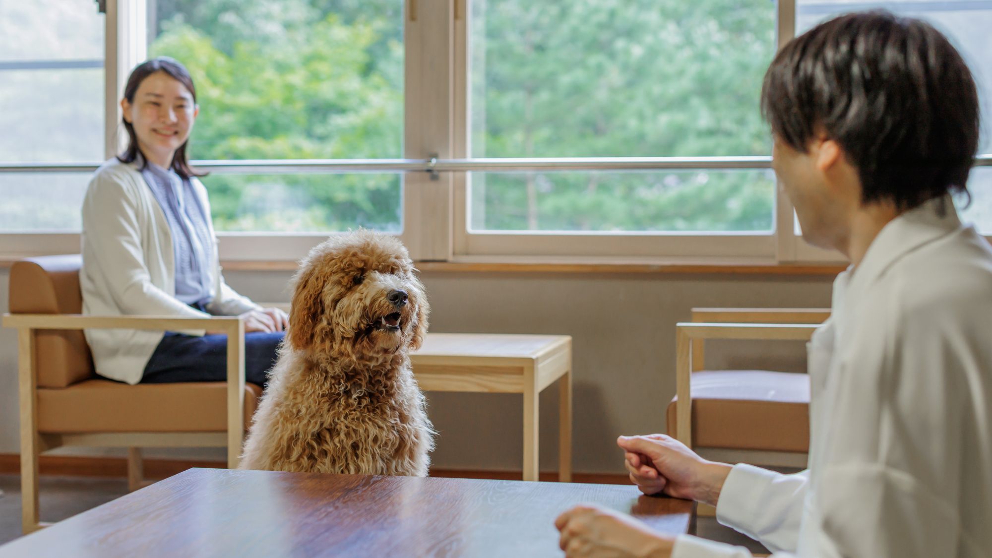 和室ご利用イメージ