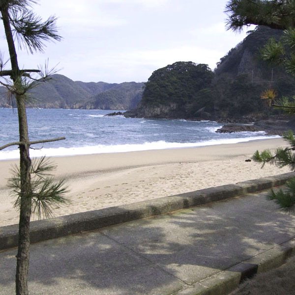 手入れの行き届いた白い砂浜