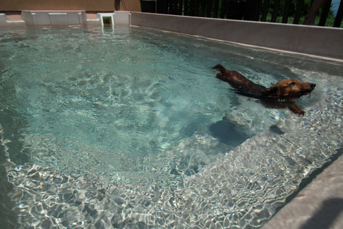 ワンプール（夏季限定）