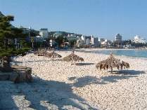 海水浴しらら浜