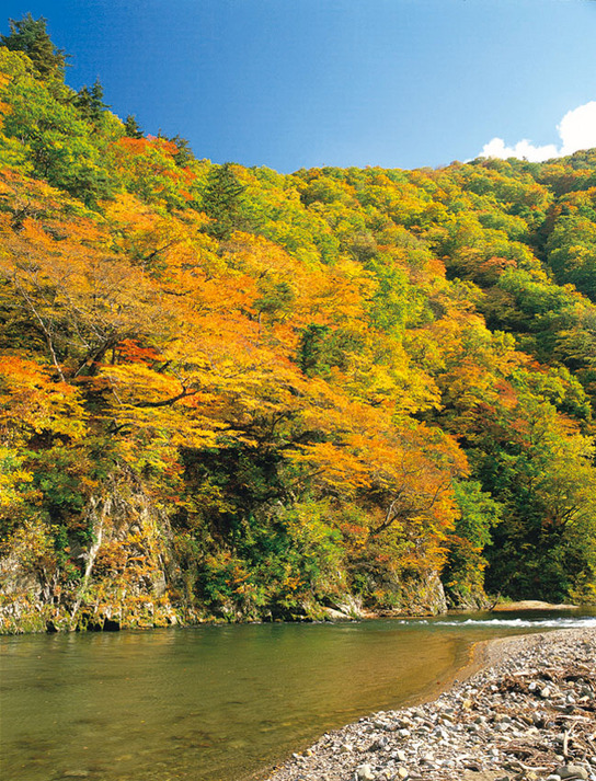 秋の赤石渓流