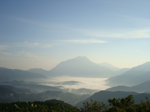 由布岳と朝霧