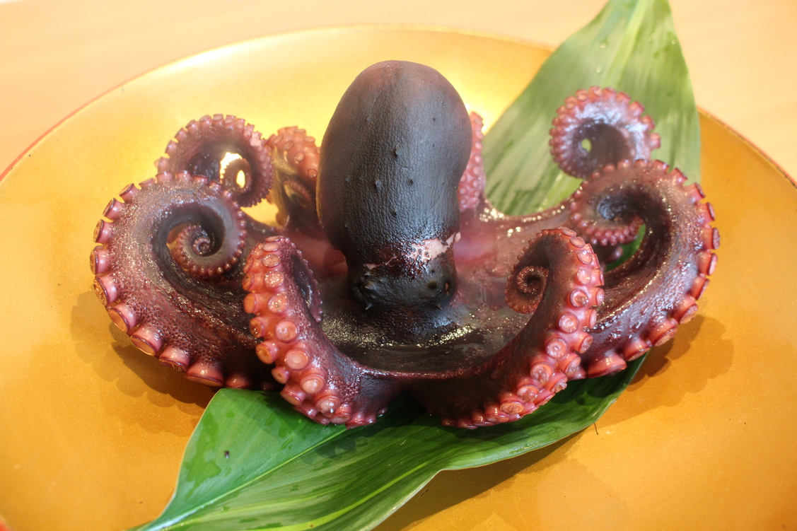 Ryokan Otoha Image 3, Chita, Japan