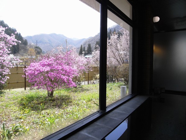 女性用内風呂からの眺め