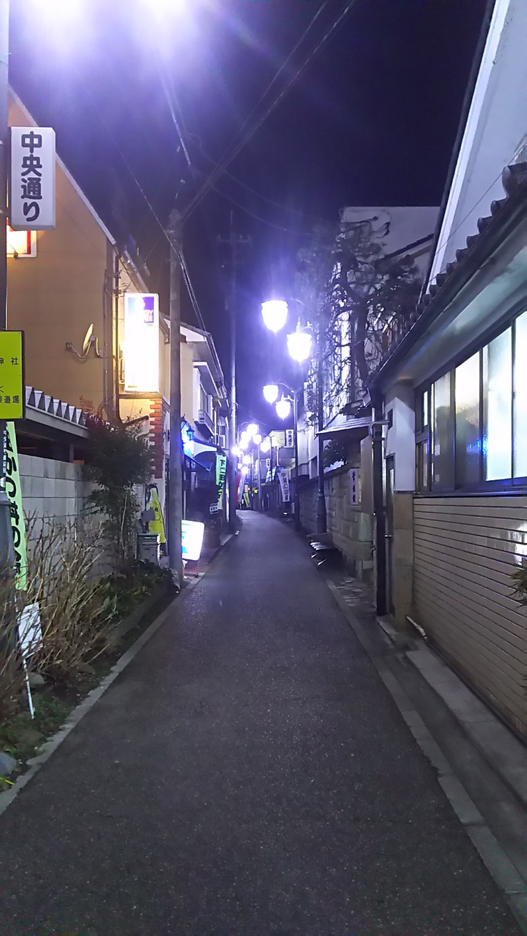 下仁田駅周辺夜の景色