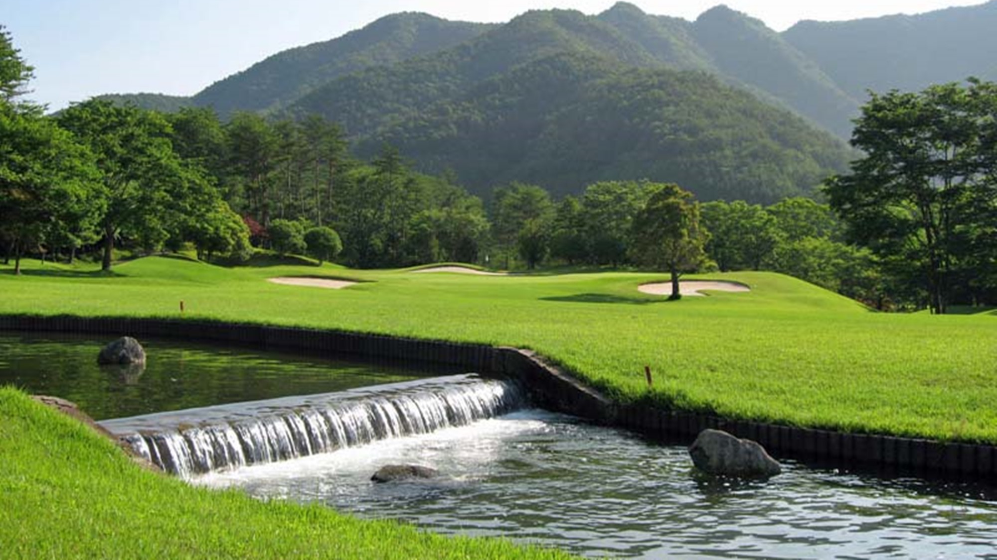 *美しい緑の天然芝のゴルフコース。