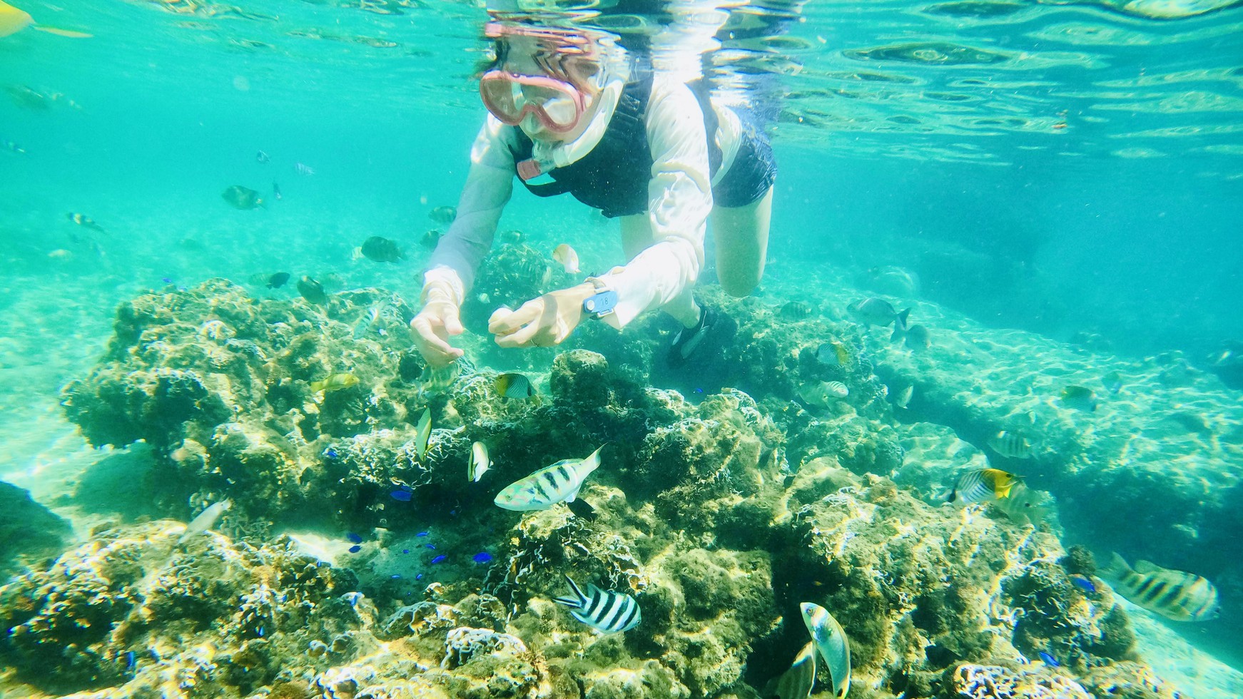 マリンアクティビティ（イメージ）