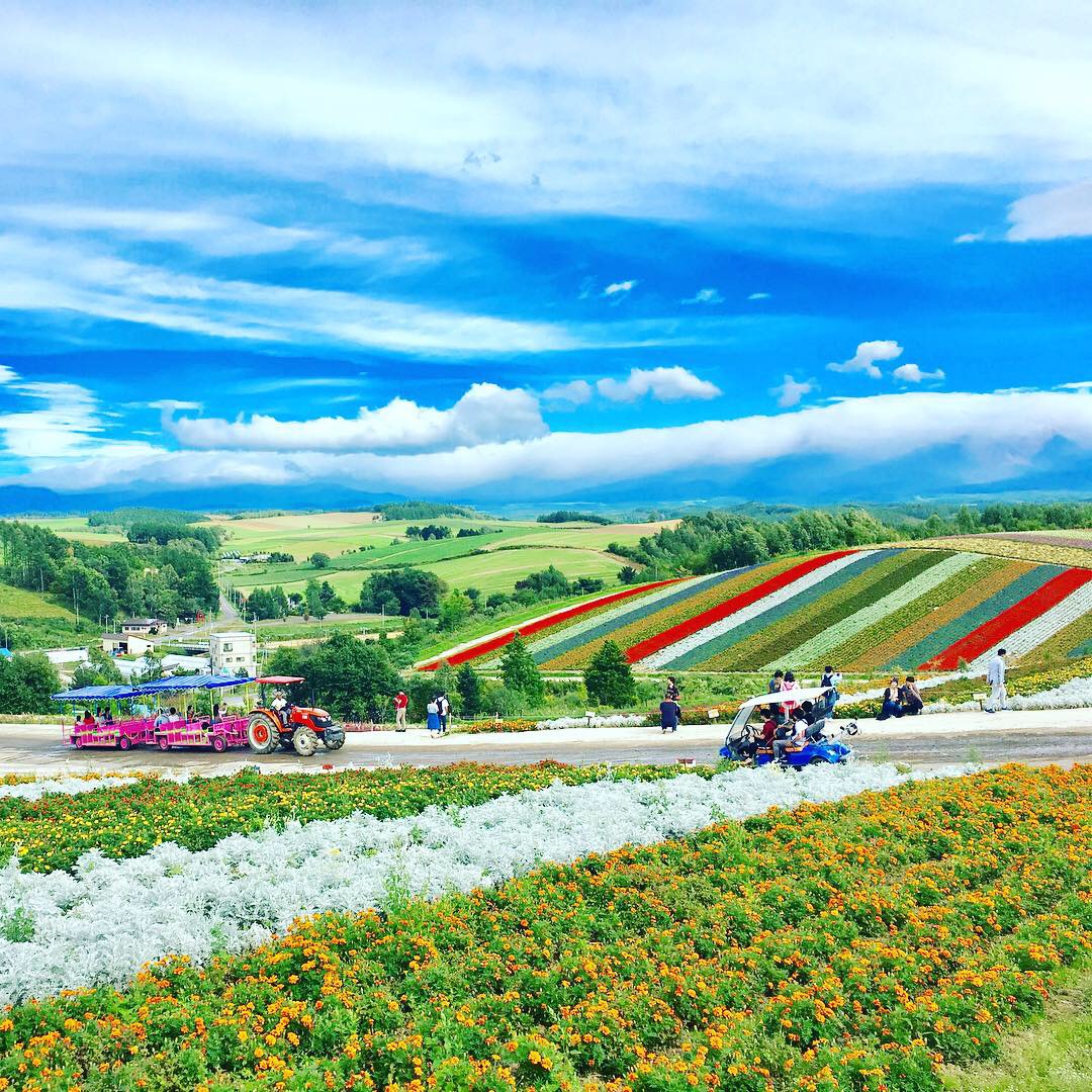 Waraku-Tei Image 5, Furano, Japan