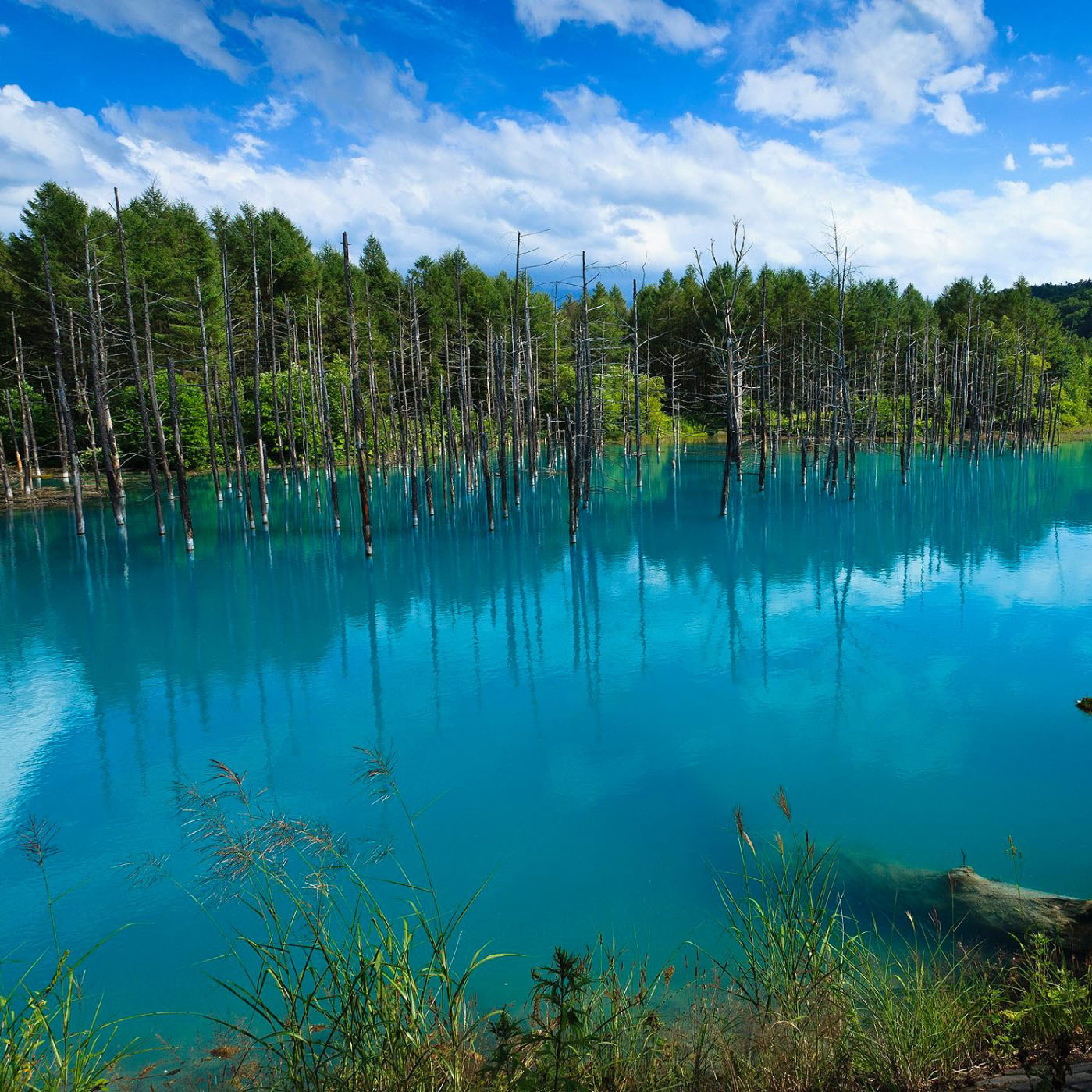 Waraku-Tei Image 3, Furano, Japan