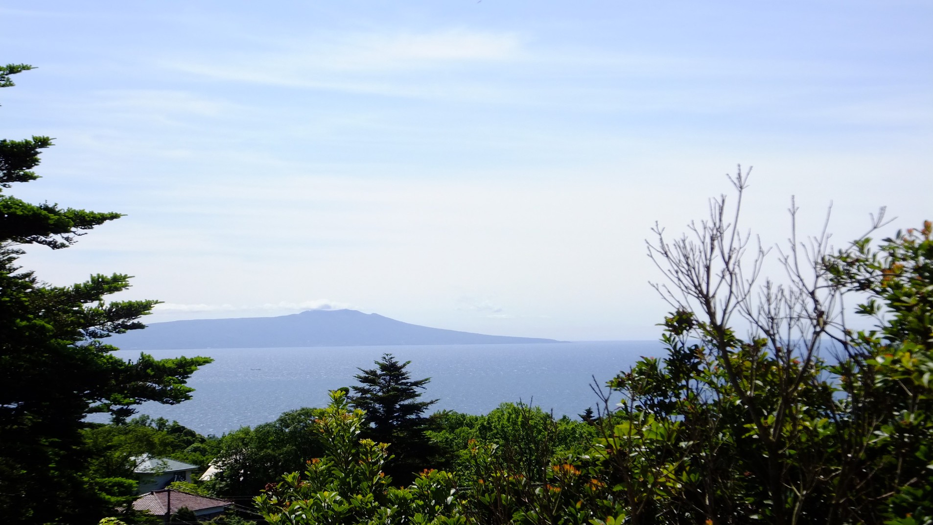 大島を望む眺望