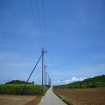 とある真っ直ぐな道
