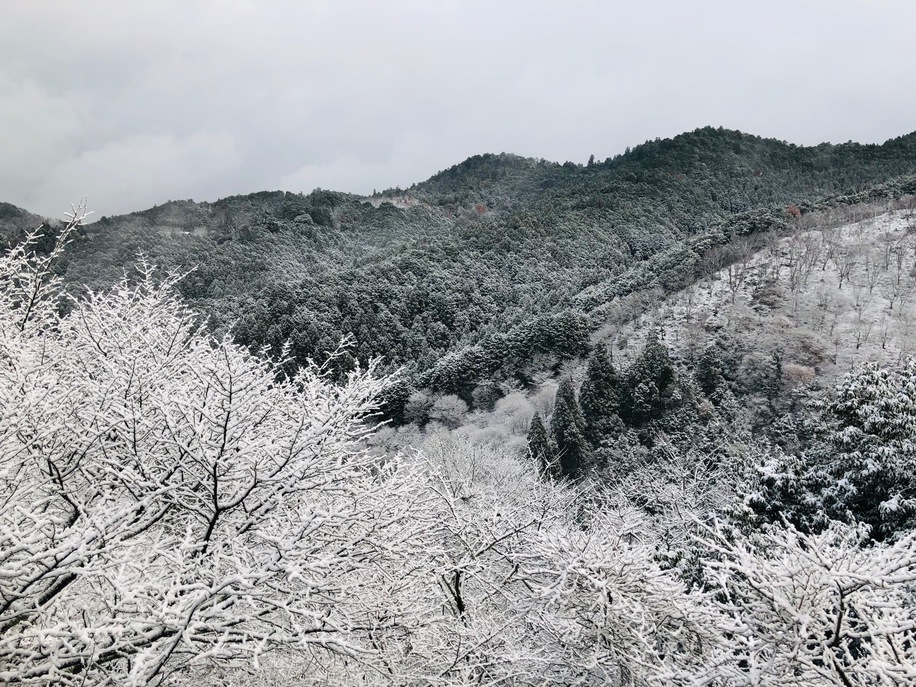 冬の吉野山