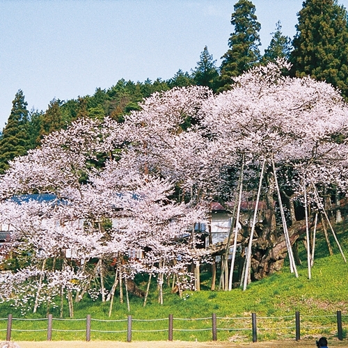 飞騨高山倭乃里旅馆