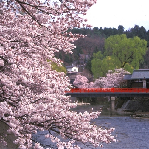 日本の宿　ひだ高山　倭乃里