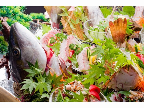 Hirado Tabira Onsen Samson Hotel Image 5, Hirado, Japan