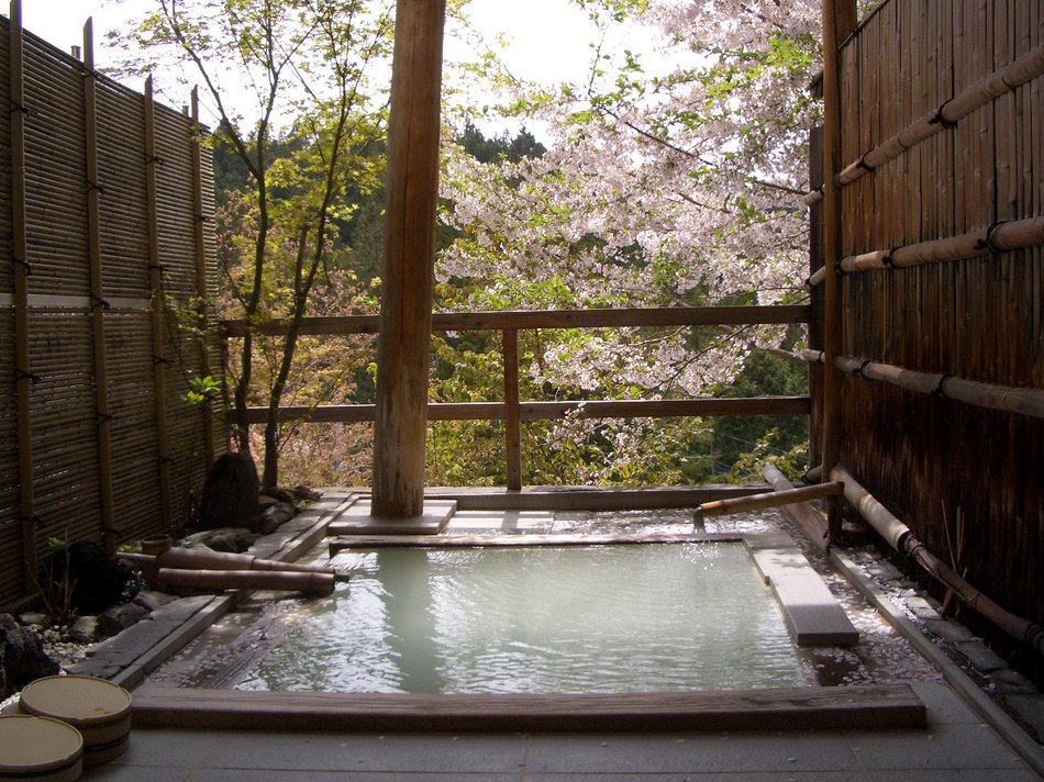 桜の花見露天風呂