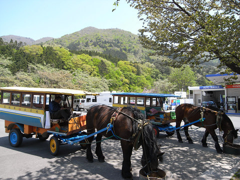 トテ馬車