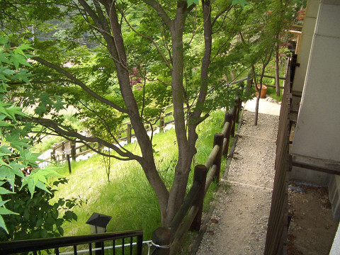 陽だまりの小路