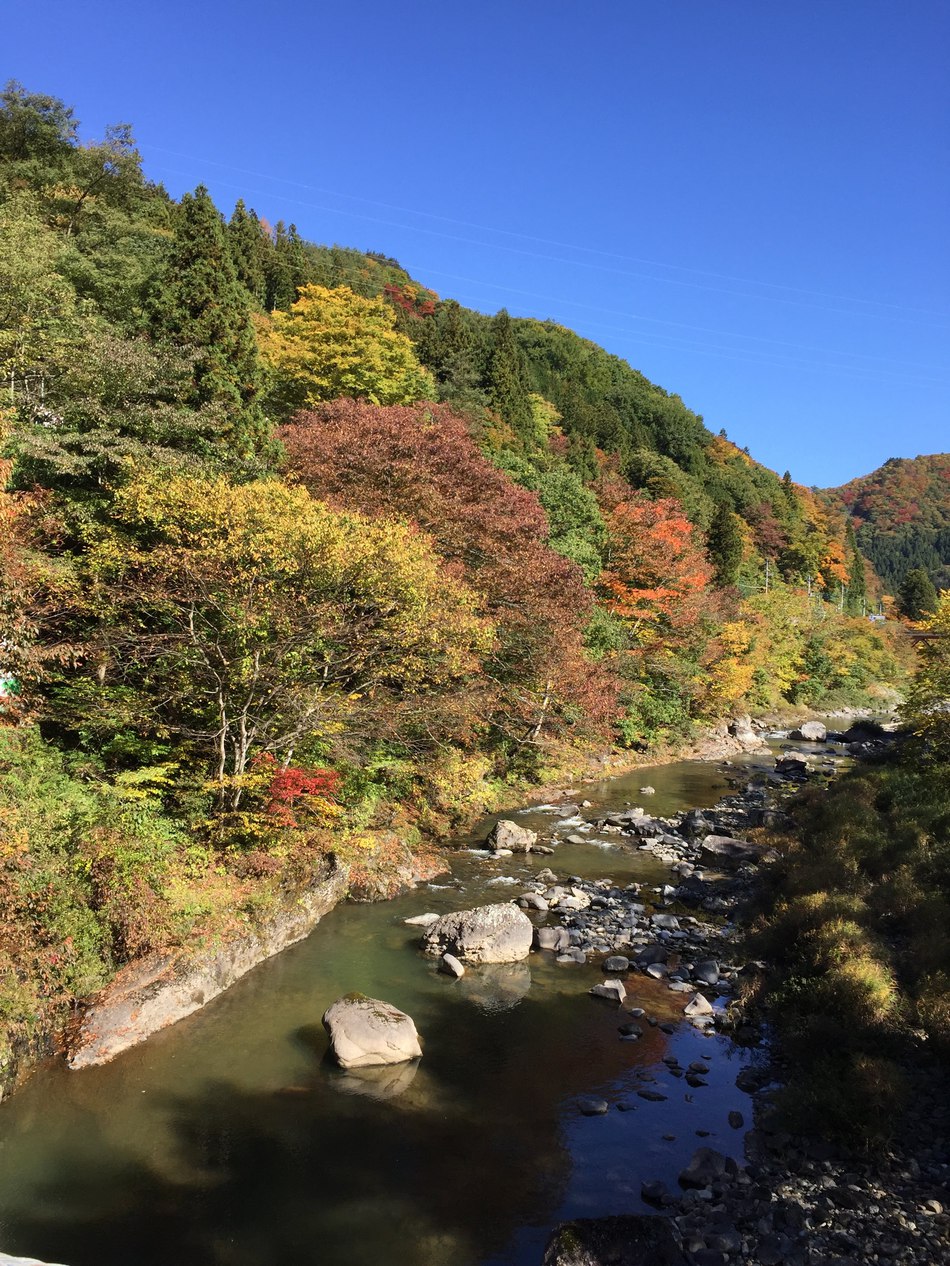 秋の利根川
