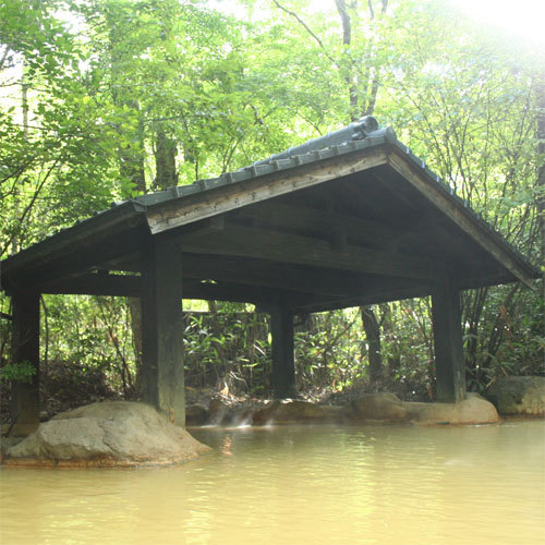 Ryokan Shinseikan Amenities