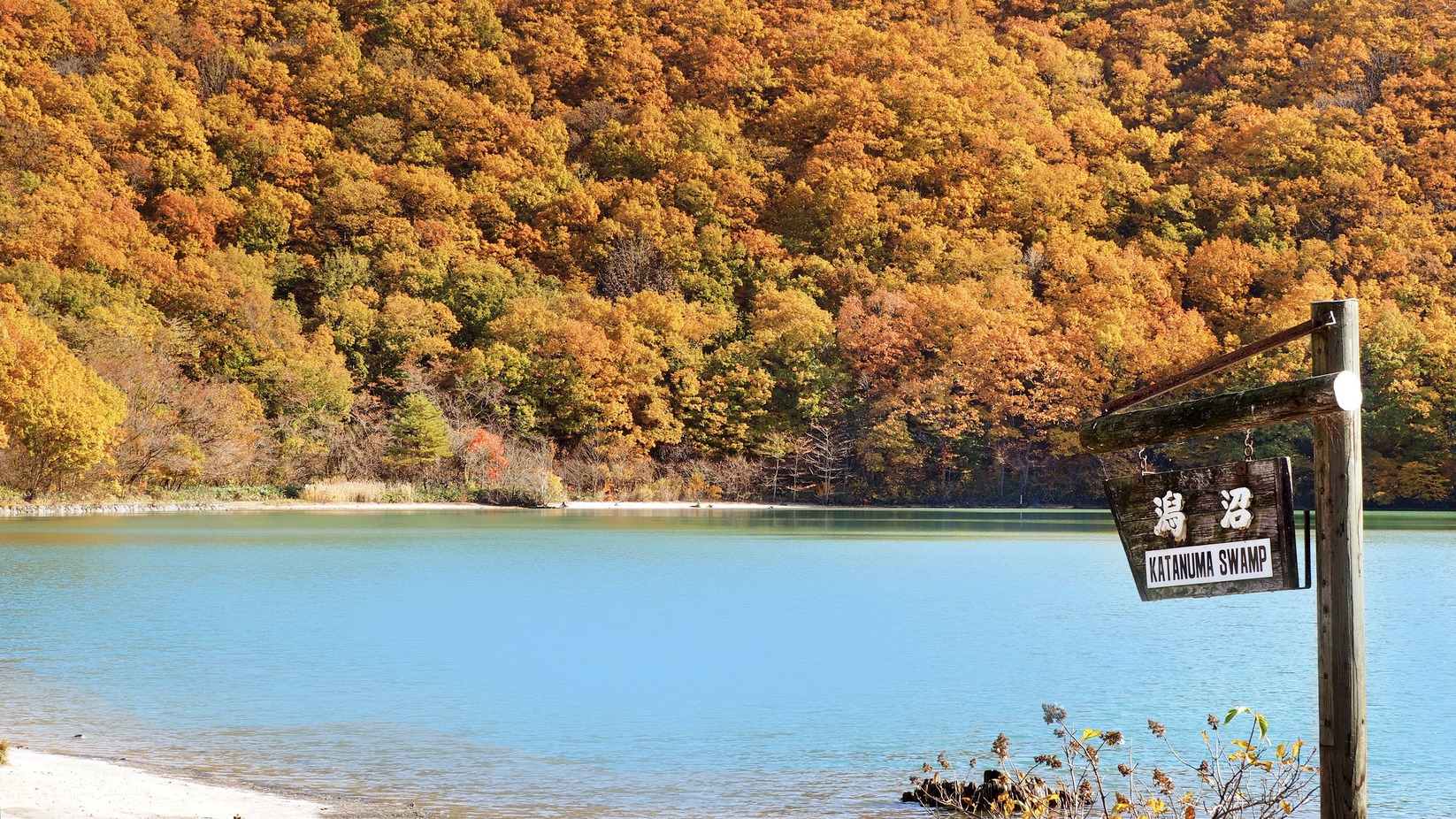 秋_潟沼カルデラ湖「潟沼」の緑に紅葉の赤が映えます