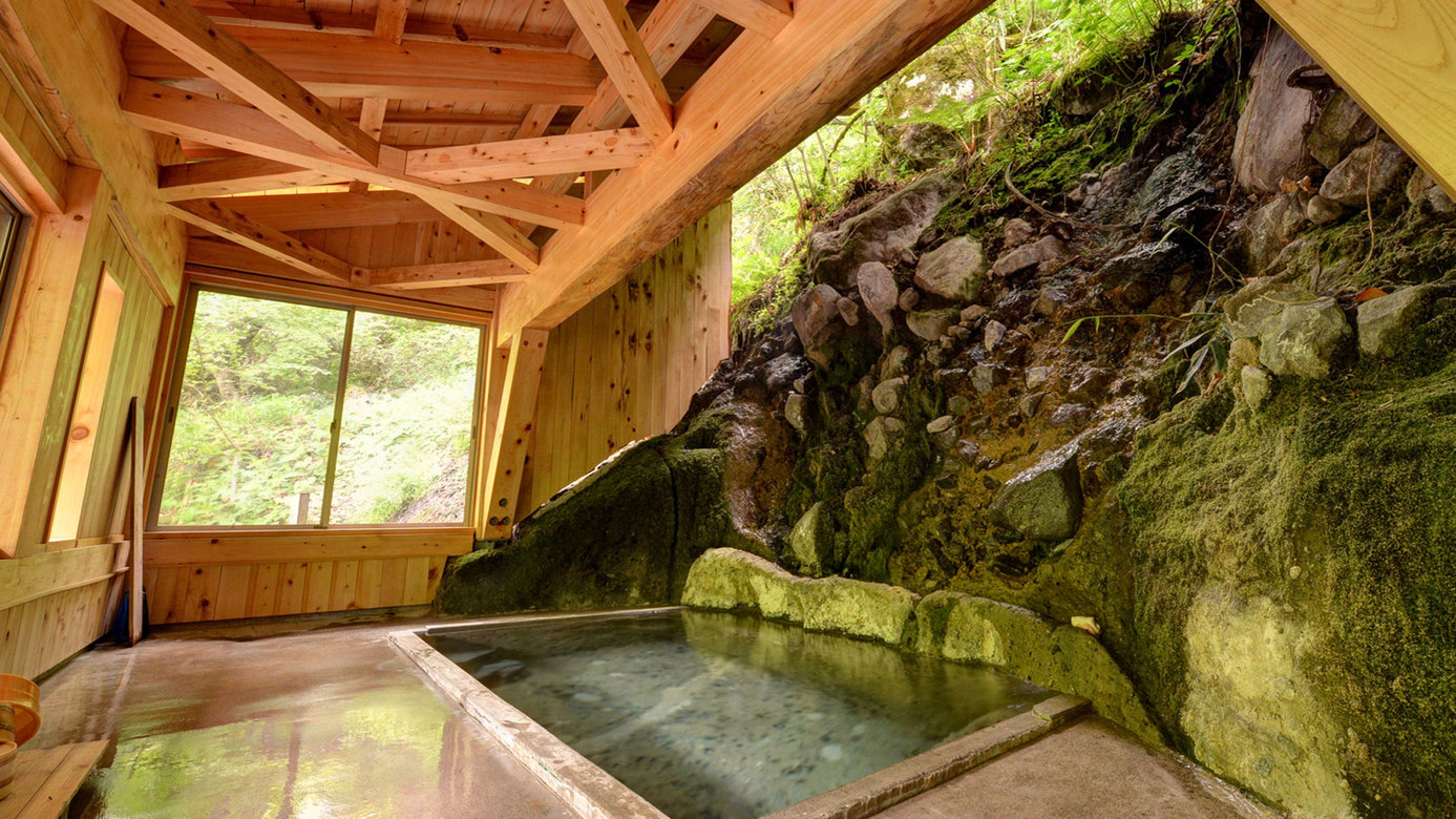 Futamata Onsen Kashiwaya Ryokan Image 4, Tenei, Japan
